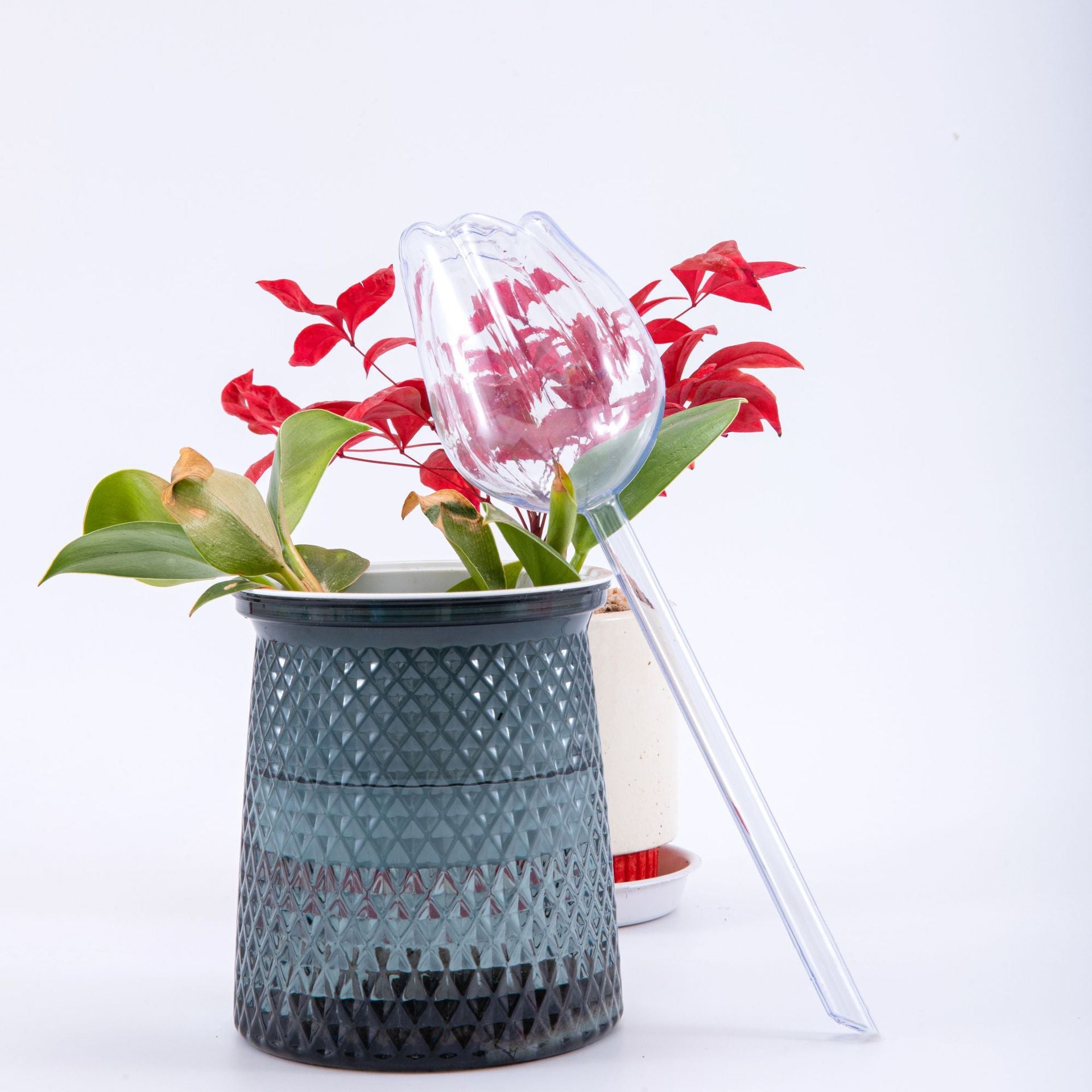Tulip-Shaped Plant Watering Globes with Narrow Nozzle Slow-Drip Design