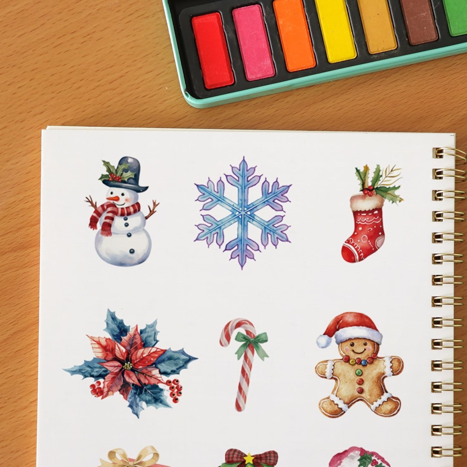 Beginner Watercolor Workbook Painting Kit